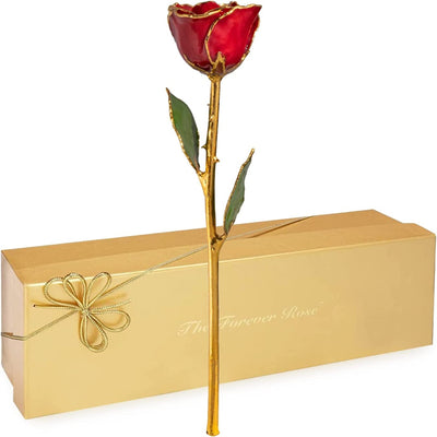 "Unique One of a Kind Red Rose Dipped in Lacquer & Trimmed in 24K Gold"